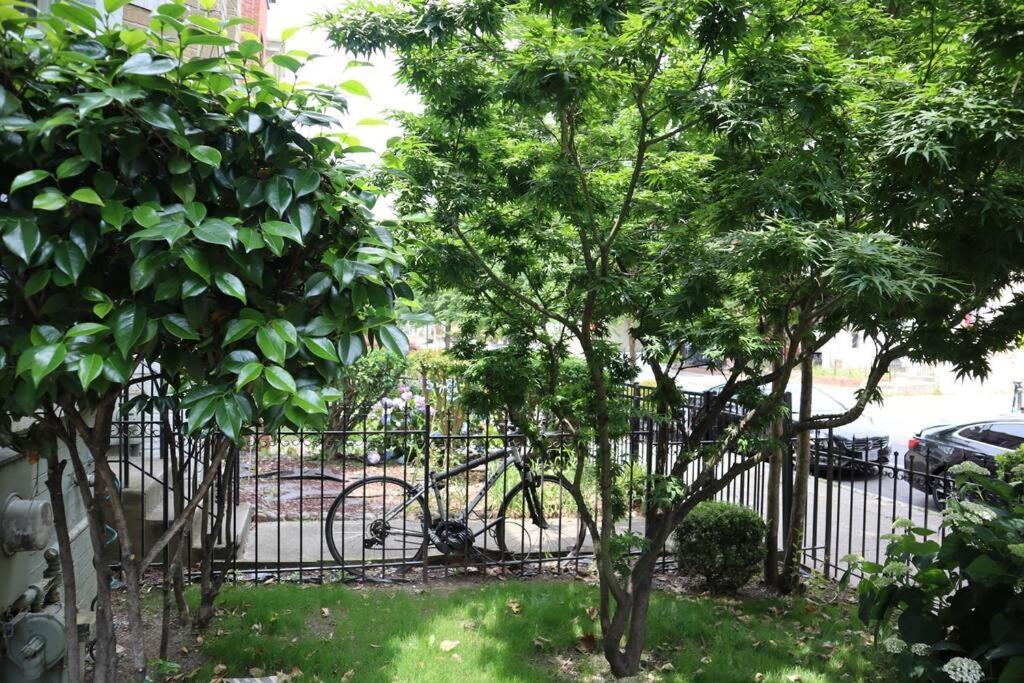 3-Bedroom House With Cute Patio Explore Dc On Foot Вашингтон Екстериор снимка